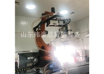 豆粕全自動拆垛設(shè)備 拆垛機械手非標(biāo)定制